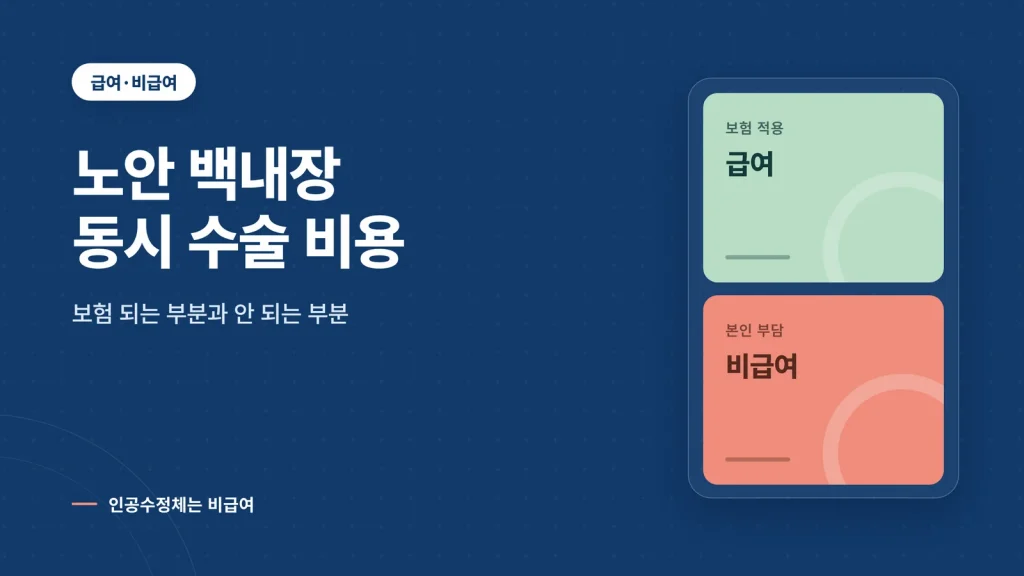 노안 백내장 동시 수술 비용 관련 이미지