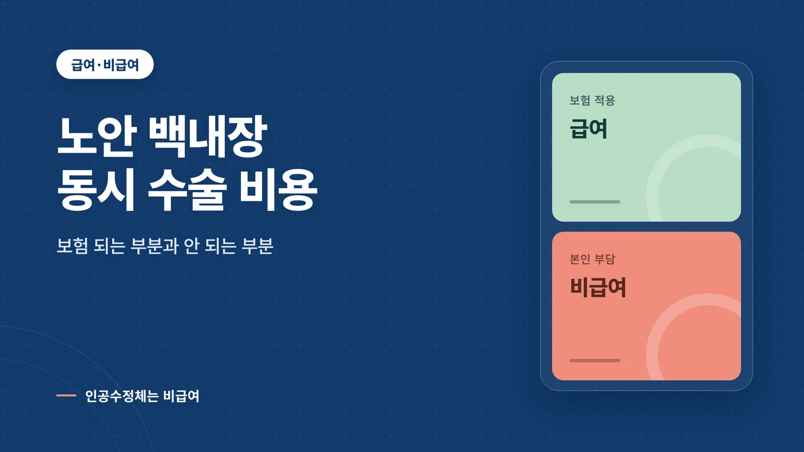 노안 백내장 동시 수술 비용